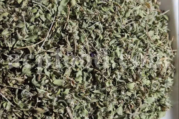 Thyme dried leaves for sale. Bulk dried Thyme leaves. Dried thyme herb wholesale price. Buy Thyme leaves dried.