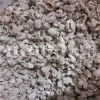 Echinops pungens manna for sale. Manna of Echinops in bulk. Globe Thistle manna wholesale price. Buy Trehala manna. Trehala Beetle Cocoon purchase.
