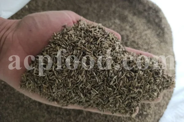 Whole Cumin seeds for sale. Bulk Cumin. Cumin seeds price. Buy Cumin seeds. Cumin seeds for sale. Cumin seeds near me. Bulk Cumin seeds. White Cumin seeds wholesale price. Buy black and white Cumin seeds. White Jeera price. Where to buy Cumin seed.
