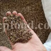 Milk Thistle seed for sale. Buy Milk Thistle seeds. Milk Thistle seeds wholesale price. Bulk Milk Thistle. Organic Milk Thistle seeds. Milk Thistle herbs for sale. Silybum marianum seeds purchase. Buy Blessed Thistle seeds. Cardo Mariano seeds in bulk. Thistle seedling in bulk. Silybum seeds buy. Holy Blessed milk thistle.