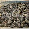 Chebulic myrobalan fruit for sale. Harad fruit wholesale. Myrobalan plum in bulk. Buy terminalia chebula fruit. Bulk terminalia fruit. Cherry plum myrobalan for sale. Emblic myrobalan price.