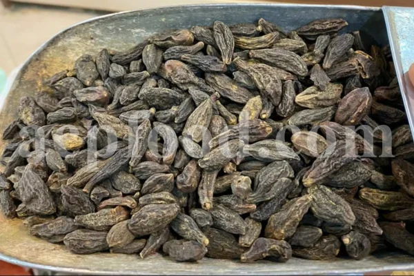 Chebulic myrobalan fruit for sale. Harad fruit wholesale. Myrobalan plum in bulk. Buy terminalia chebula fruit. Bulk terminalia fruit. Cherry plum myrobalan for sale. Emblic myrobalan price.
