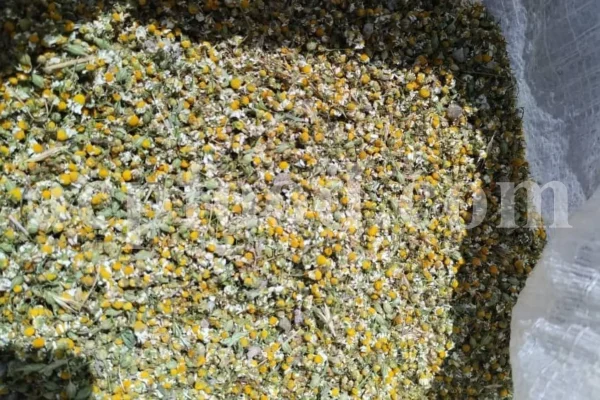 Dried chamomile for sale. Chamomile for sale. Buy chamomile. Bulk chamomile. Bulk chamomile tea. Dried chamomile flowers wholesale price. Buy chamomile tea. Dried chamomile flowers bulk.