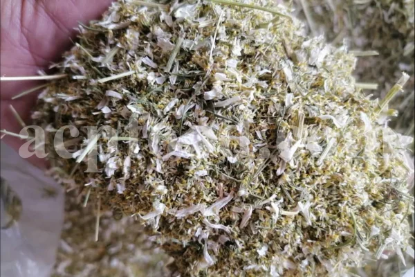 Dried chamomile for sale. Chamomile for sale. Buy chamomile. Bulk chamomile. Bulk chamomile tea. Dried chamomile flowers wholesale price. Buy chamomile tea. Dried chamomile flowers bulk.