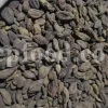 Chebulic myrobalan fruit for sale. Harad fruit wholesale. Myrobalan plum in bulk. Buy terminalia chebula fruit. Bulk terminalia fruit. Cherry plum myrobalan for sale. Emblic myrobalan price.