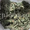 Cichorium intybus tea. Cichorium intybus root. Dried chicory flowers for sale. Buy wild chicory leaves. Buy chicory. Chicory for sale. chicory price. Bulk chicory tea. Chicory root wholesale. Chicory root tea.