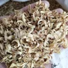 Orange Blossom for sale. Buy Orange Blossom. Orange Blossom buy. Dried Neroli flowers for sale. Citrus Blossom wholesale price. Citrus flowers purchase. Bulk lemon tree flowers. Orange citrus flower for sale. Citrus tree flower wholesale price.