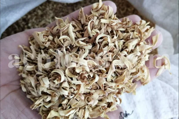 Orange Blossom for sale. Buy Orange Blossom. Orange Blossom buy. Dried Neroli flowers for sale. Citrus Blossom wholesale price. Citrus flowers purchase. Bulk lemon tree flowers. Orange citrus flower for sale. Citrus tree flower wholesale price.