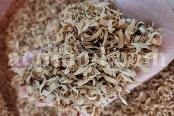 Orange Blossom for sale. Buy Orange Blossom. Orange Blossom buy. Dried Neroli flowers for sale. Citrus Blossom wholesale price. Citrus flowers purchase. Bulk lemon tree flowers. Orange citrus flower for sale. Citrus tree flower wholesale price.