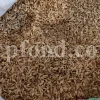 Orange Blossom for sale. Buy Orange Blossom. Orange Blossom buy. Dried Neroli flowers for sale. Citrus Blossom wholesale price. Citrus flowers purchase. Bulk lemon tree flowers. Orange citrus flower for sale. Citrus tree flower wholesale price.
