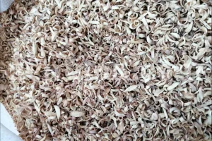 Natural citrus blossom petals dried for industry