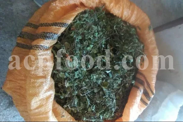 Viola odorata tea for sale. Buy sweet violet dried flowers. Common violet wholesale. English violet in bulk. Viola odorata for sale. Bulk sweet violet tea. Dried sweet violet flowers purchase. Common blue violet tea price.
