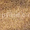 Bulk coriander seeds. Cilantro seeds bulk. Dhaniya wholesale price. Coriandrum sativum seeds. Coriandrum sativum cilantro. Coriandrum sativum coriander. Coriander seeds wholesale. Coriander seeds wholesale price.