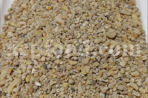 Cypress resin for sale. Buy cypress resin. Cypress gum wholesale price. Cupressus sempervirens gum purchase. Bulk Cupressus sempervirens resin.