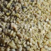 Cypress resin for sale. Buy cypress resin. Cypress gum wholesale price. Cupressus sempervirens gum purchase. Bulk Cupressus sempervirens resin.