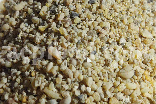 Cypress resin for sale. Buy cypress resin. Cypress gum wholesale price. Cupressus sempervirens gum purchase. Bulk Cupressus sempervirens resin.