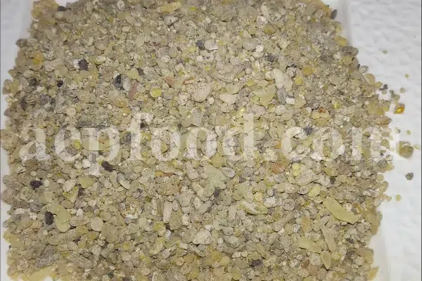 Cypress resin for sale. Buy cypress resin. Cypress gum wholesale price. Cupressus sempervirens gum purchase. Bulk Cupressus sempervirens resin.