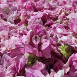 Bulk whole Damask rose flowers for export, showing dried opened flowers