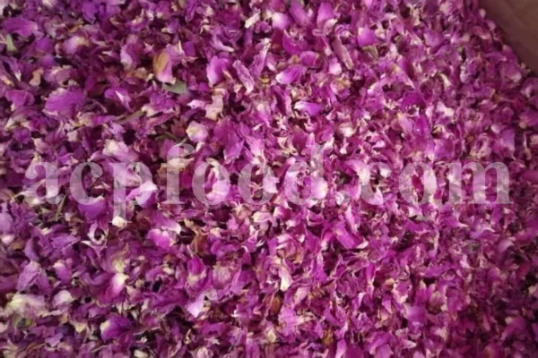 Bulk Damask rose petals for export