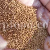 Flixweed seed for sale. Buy flixweed. Bulk descurainia sophia seed. Flix weed wholesale price. Khakshir purchase. Khakshir seeds price. Khakeshir for sale.