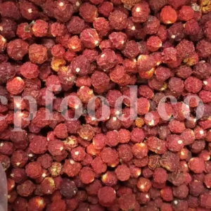 Bulk Chinese lantern for export with bright orange fruit and flowers