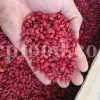 Dried barberry for sale. Buy dried barberry fruit. Zereshk berries wholesale price. Buy barberries. Dried barberries near me. Barberry dried spice for sale. Bulk zereshk fruit. Barberry for sale. Buy barberry. Barberry buy online. Barberry for sale near me. Barberry sale. Barberry to buy. Berberis for sale. Buy zereshk. Barberry dried fruit for sale.
