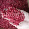 Dried barberry for sale. Buy dried barberry fruit. Zereshk berries wholesale price. Buy barberries. Dried barberries near me. Barberry dried spice for sale. Bulk zereshk fruit. Barberry for sale. Buy barberry. Barberry buy online. Barberry for sale near me. Barberry sale. Barberry to buy. Berberis for sale. Buy zereshk. Barberry dried fruit for sale.