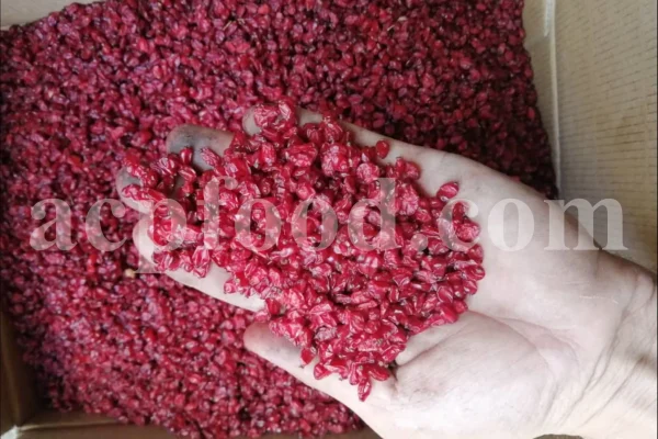 Dried barberry for sale. Buy dried barberry fruit. Zereshk berries wholesale price. Buy barberries. Dried barberries near me. Barberry dried spice for sale. Bulk zereshk fruit. Barberry for sale. Buy barberry. Barberry buy online. Barberry for sale near me. Barberry sale. Barberry to buy. Berberis for sale. Buy zereshk. Barberry dried fruit for sale.
