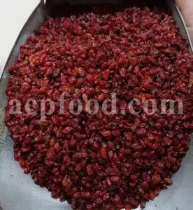 Dried barberry for sale. Buy dried barberry fruit. Zereshk berries wholesale price. Buy barberries. Dried barberries near me. Barberry dried spice for sale. Bulk zereshk fruit. Barberry for sale. Buy barberry. Barberry buy online. Barberry for sale near me. Barberry sale. Barberry to buy. Berberis for sale. Buy zereshk. Barberry dried fruit for sale.