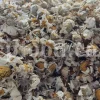 Dried chamomile for sale. Chamomile for sale. Buy chamomile. Bulk chamomile. Bulk chamomile tea. Dried chamomile flowers wholesale price. Buy chamomile tea. Dried chamomile flowers bulk.
