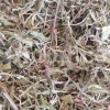 Cichorium intybus tea. Cichorium intybus root. Dried chicory flowers for sale. Buy wild chicory leaves. Buy chicory. Chicory for sale. chicory price. Bulk chicory tea. Chicory root wholesale. Chicory root tea.