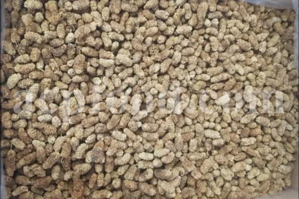 Bulk dried white mulberry. Dried mulberries for sale. Dried white berries in bulk. Buy raw dried mulberries. Purchase sun dried mulberries. Sun dried white mulberries wholesale.