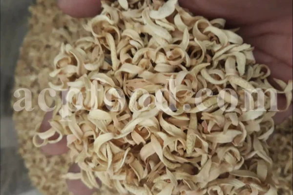 Orange Blossom for sale. Buy Orange Blossom. Orange Blossom buy. Dried Neroli flowers for sale. Citrus Blossom wholesale price. Citrus flowers purchase. Bulk lemon tree flowers. Orange citrus flower for sale. Citrus tree flower wholesale price.