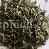 Dried Peppermint leaves for sale. Bulk peppermint leaves. Buy dried mint leaves. Peppermint tea leaves wholesale price. Organic peppermint tea loose leaf in bulk.