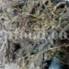 Woolly dried Persian mountain tea flower clusters mixed with small grey-green leaves