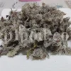 Dried Persian mountain tea flowering material piled on a square white plate