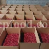 Roselle dried flowers for sale. Dried Rosella flowers. Roselle where to buy. Buy Hibiscus. Hibiscus purchase. Hibiscus flowers near me. Buy hardy Hibiscus. Buy Hibiscus flower. Hardy Hibiscus seeds for sale. Dried Hibiscus flowers wholesale. Whole dried Hibiscus flowers. Buy Hibiscus sabdariffa. Buy Rosella seeds. Hibiscus sabdariffa for sale. Buy Roselle hibiscus. Sorrel Hibiscus sabdariffa for sale.