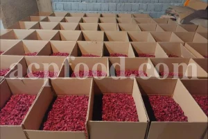 Roselle dried flowers for sale. Dried Rosella flowers. Roselle where to buy. Buy Hibiscus. Hibiscus purchase. Hibiscus flowers near me. Buy hardy Hibiscus. Buy Hibiscus flower. Hardy Hibiscus seeds for sale. Dried Hibiscus flowers wholesale. Whole dried Hibiscus flowers. Buy Hibiscus sabdariffa. Buy Rosella seeds. Hibiscus sabdariffa for sale. Buy Roselle hibiscus. Sorrel Hibiscus sabdariffa for sale.