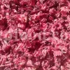 Roselle dried flowers for sale. Dried Rosella flowers. Roselle where to buy. Buy Hibiscus. Hibiscus purchase. Hibiscus flowers near me. Buy hardy Hibiscus. Buy Hibiscus flower. Hardy Hibiscus seeds for sale. Dried Hibiscus flowers wholesale. Whole dried Hibiscus flowers. Buy Hibiscus sabdariffa. Buy Rosella seeds. Hibiscus sabdariffa for sale. Buy Roselle hibiscus. Sorrel Hibiscus sabdariffa for sale.