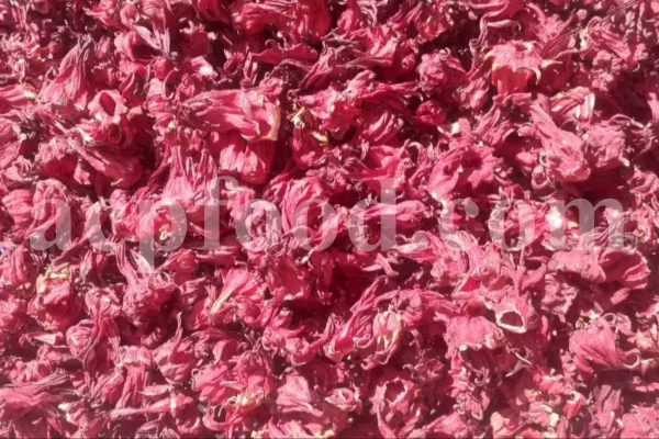 Roselle dried flowers for sale. Dried Rosella flowers. Roselle where to buy. Buy Hibiscus. Hibiscus purchase. Hibiscus flowers near me. Buy hardy Hibiscus. Buy Hibiscus flower. Hardy Hibiscus seeds for sale. Dried Hibiscus flowers wholesale. Whole dried Hibiscus flowers. Buy Hibiscus sabdariffa. Buy Rosella seeds. Hibiscus sabdariffa for sale. Buy Roselle hibiscus. Sorrel Hibiscus sabdariffa for sale.
