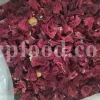 Roselle dried flowers for sale. Dried Rosella flowers. Roselle where to buy. Buy Hibiscus. Hibiscus purchase. Hibiscus flowers near me. Buy hardy Hibiscus. Buy Hibiscus flower. Hardy Hibiscus seeds for sale. Dried Hibiscus flowers wholesale. Whole dried Hibiscus flowers. Buy Hibiscus sabdariffa. Buy Rosella seeds. Hibiscus sabdariffa for sale. Buy Roselle hibiscus. Sorrel Hibiscus sabdariffa for sale.