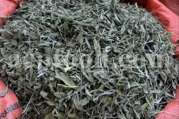 Buy sage dried leaves. Sage leaves for sale. Bulk dried sage leaves. Sage purchase. Dried sage leaves for burning.