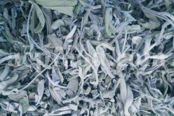 Buy sage dried leaves. Sage leaves for sale. Bulk dried sage leaves. Sage purchase. Dried sage leaves for burning.