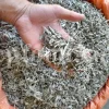 Buy sage dried leaves. Sage leaves for sale. Bulk dried sage leaves. Sage purchase. Dried sage leaves for burning.