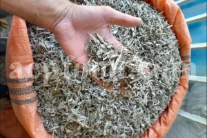 Buy sage dried leaves. Sage leaves for sale. Bulk dried sage leaves. Sage purchase. Dried sage leaves for burning.