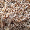 Dried orchid tubers supplied as bulk salep roots for export