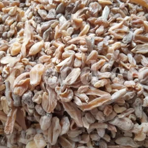 Dried orchid tubers supplied as bulk salep roots for export