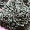 Artemisia dracunculus for sale. Buy artemisia dracunculus tarragon. Tarragon mugwort wholesale. Dried tarragon in bulk. Tarragon for sale. Tarragon price. Dried tarragon tea purchase. Price of tarragon.