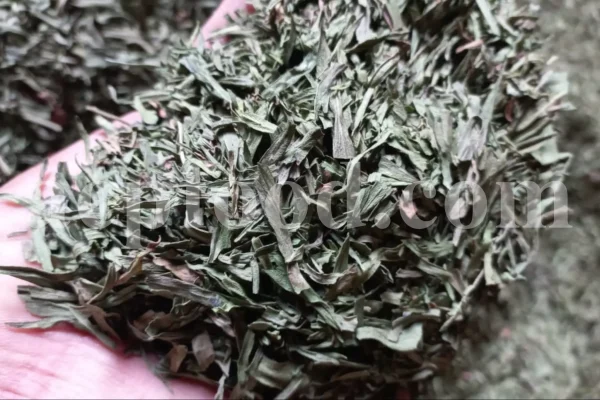 Artemisia dracunculus for sale. Buy artemisia dracunculus tarragon. Tarragon mugwort wholesale. Dried tarragon in bulk. Tarragon for sale. Tarragon price. Dried tarragon tea purchase. Price of tarragon.