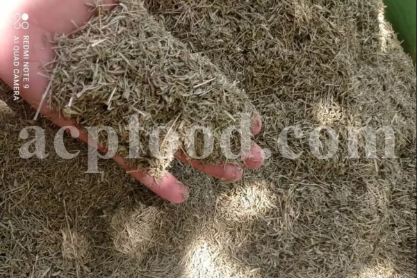 Thyme dried leaves for sale. Bulk dried Thyme leaves. Dried thyme herb wholesale price. Buy Thyme leaves dried.